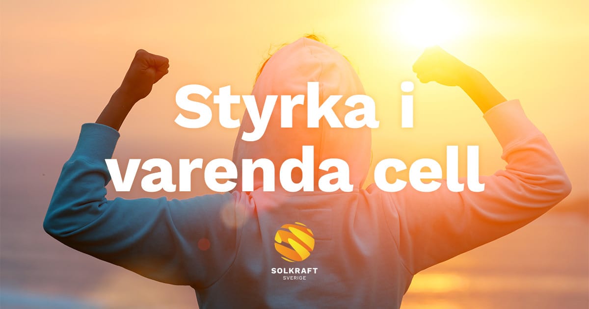 Solkraft Sverige – företaget som levererar styrka i varenda cell